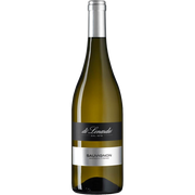 Sauvignon Blanc Venezia Giulia IGT 2025