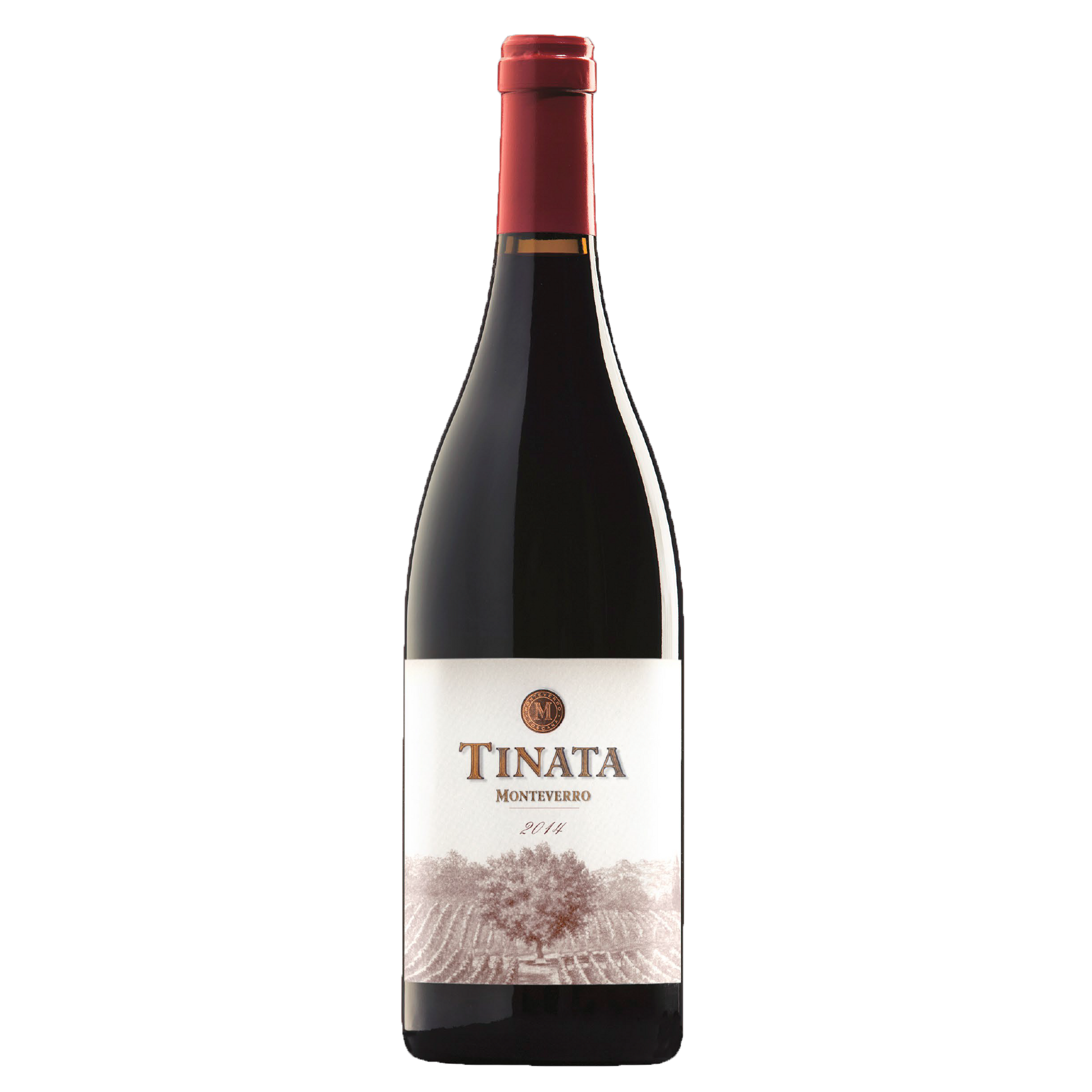 Tinata IGT 2014