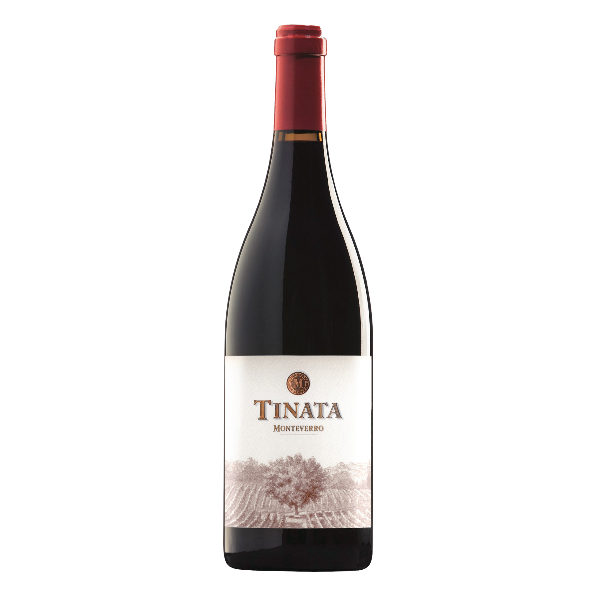 Tinata IGT 2019