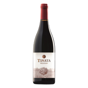 Tinata IGT 2018