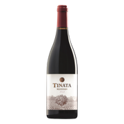 Tinata IGT 2021