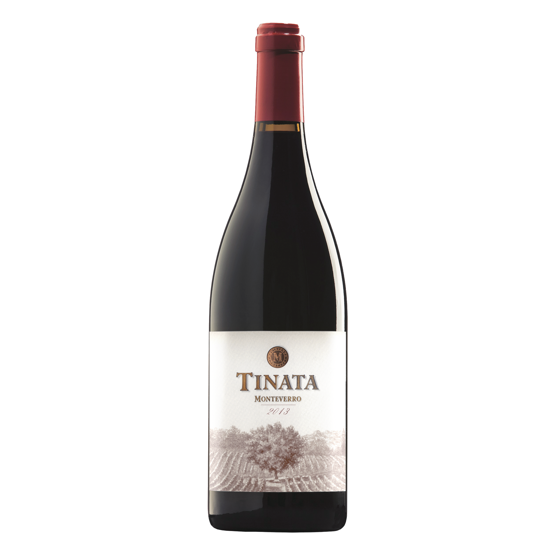 Tinata IGT 2021