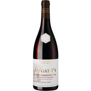 Gevrey Chambertin 1er Cru Lavaux St. Jacques Vieilles Vignes 2023