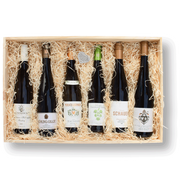RIESLING FOREVER im Karton 550 x 360 mm