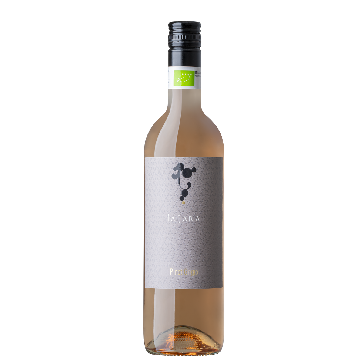 Pinot Grigio delle Venezie DOC 2024