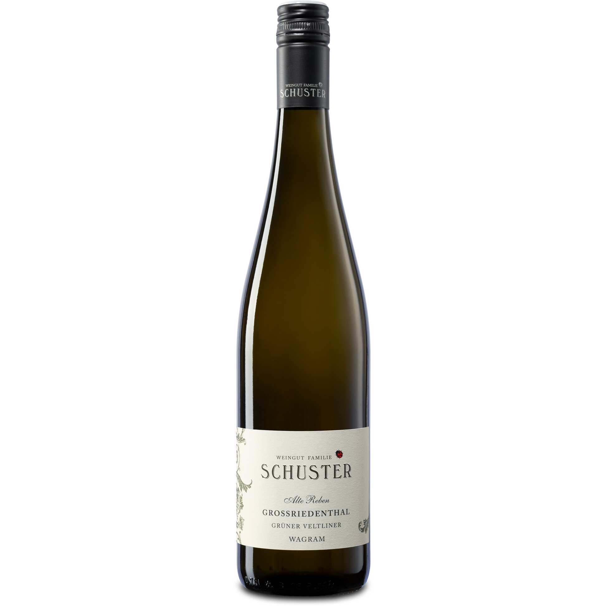 Grüner Veltliner Grossriedenthal Alte Reben Wagram DAC 2025