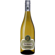 Sauvignon Blanc IGT 2025