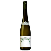 Riesling Viesslinger Bruck 2023