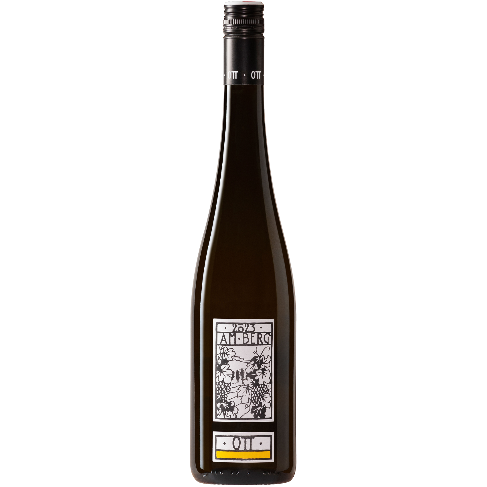 Grüner Veltliner am Berg 2025