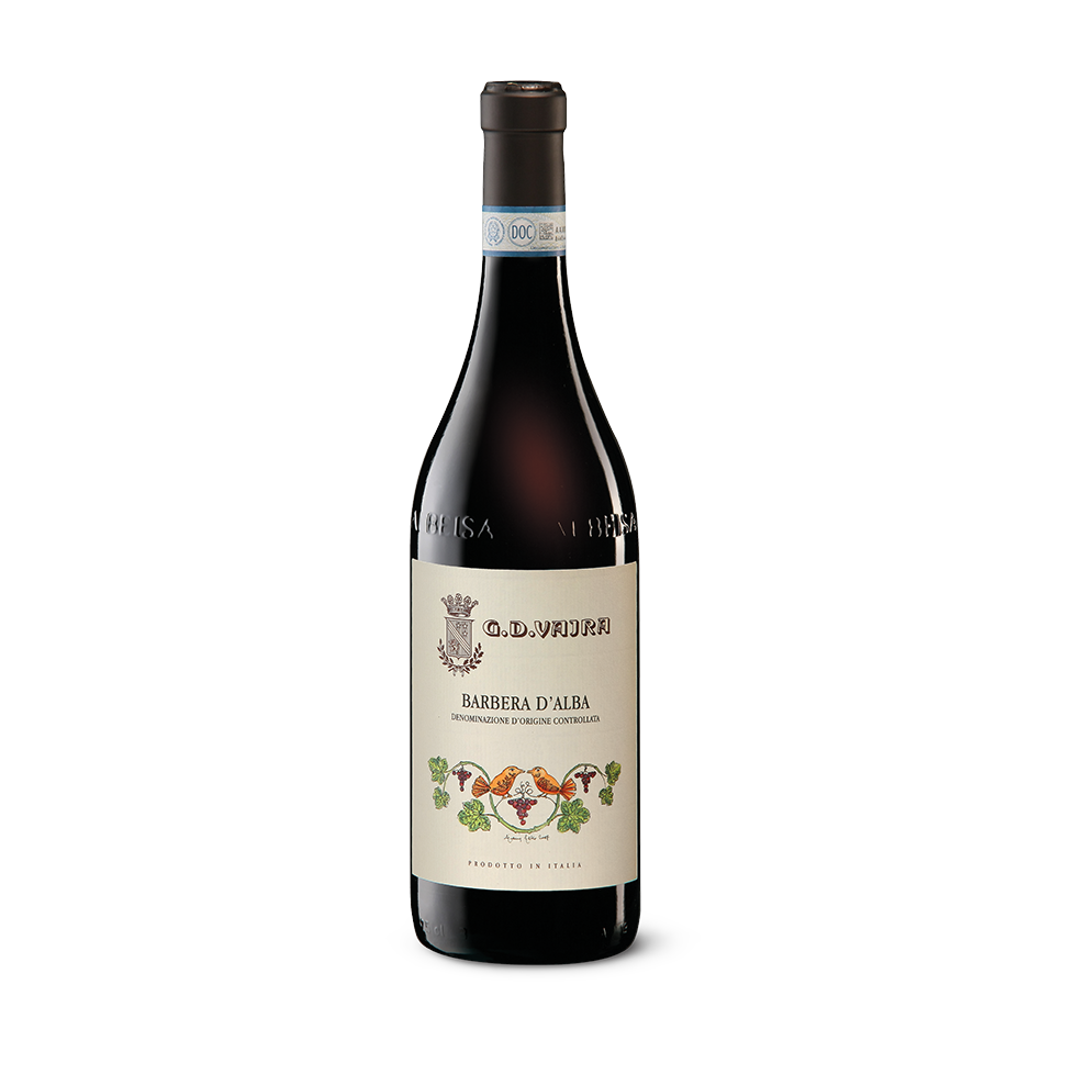 Barbera d’Alba DOC 2024