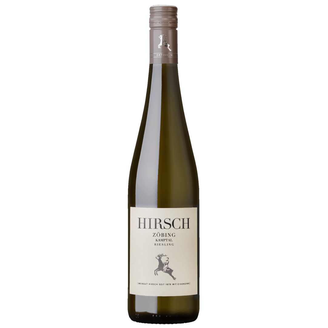 Riesling Zöbing Kamptal DAC 2025