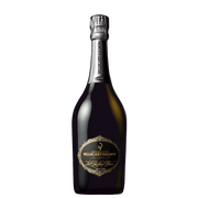 Les Clos Saint-Hilaire Blanc de Noirs Brut 1999