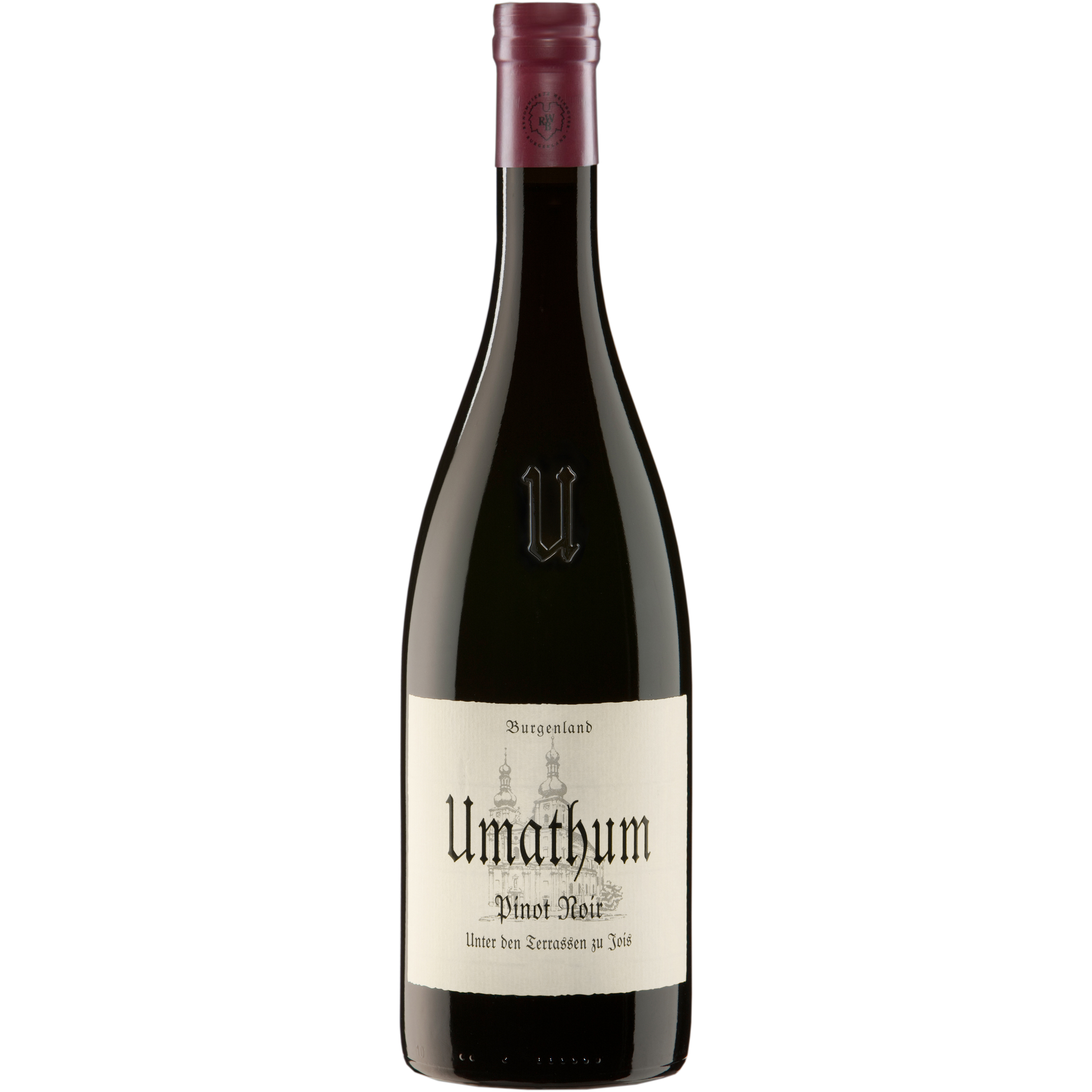 Pinot Noir Unter den Terrassen zu Jois 2022