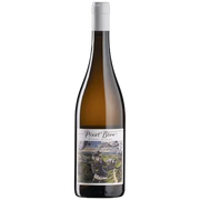 KTCN Pinot Blow 2024