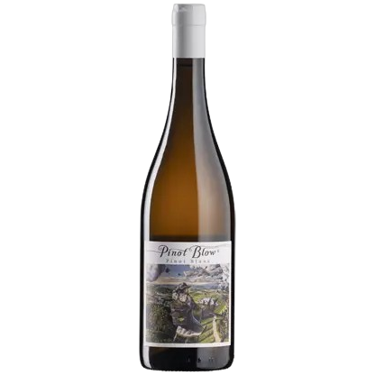 KTCN Pinot Blow 2024