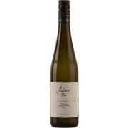Grüner Veltliner Pletzengraben 1ÖTW Traisental DAC Reserve 2024