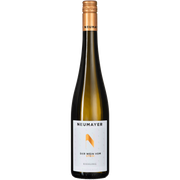 Riesling Der Wein vom Stein Traisental DAC 2023