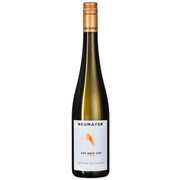Grüner Veltliner Der Wein vom Stein Traisental DAC 2024