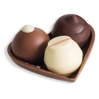 Pralinen Präsentherz Bio, 45 g