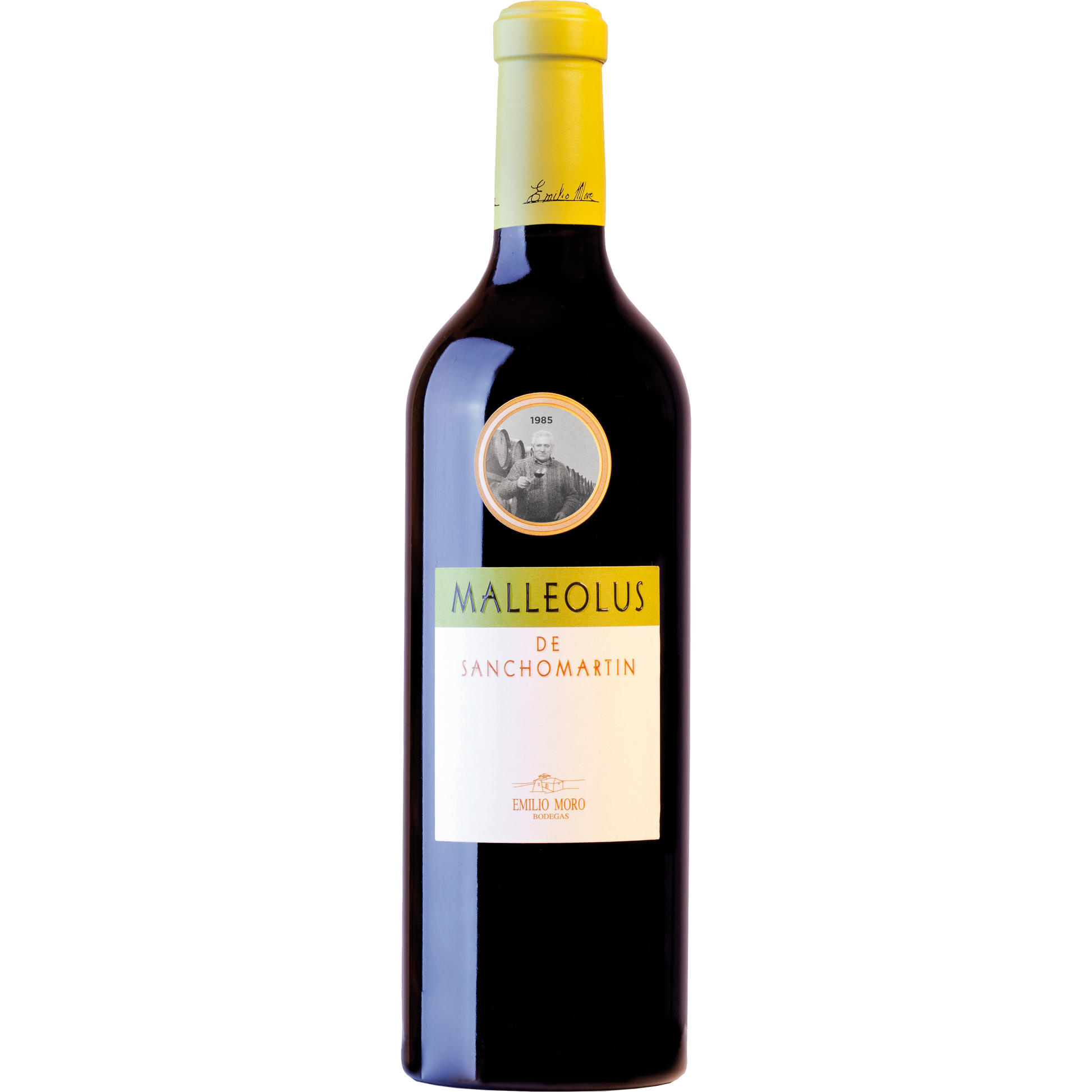 Malleolus de Sanchomartin 2019