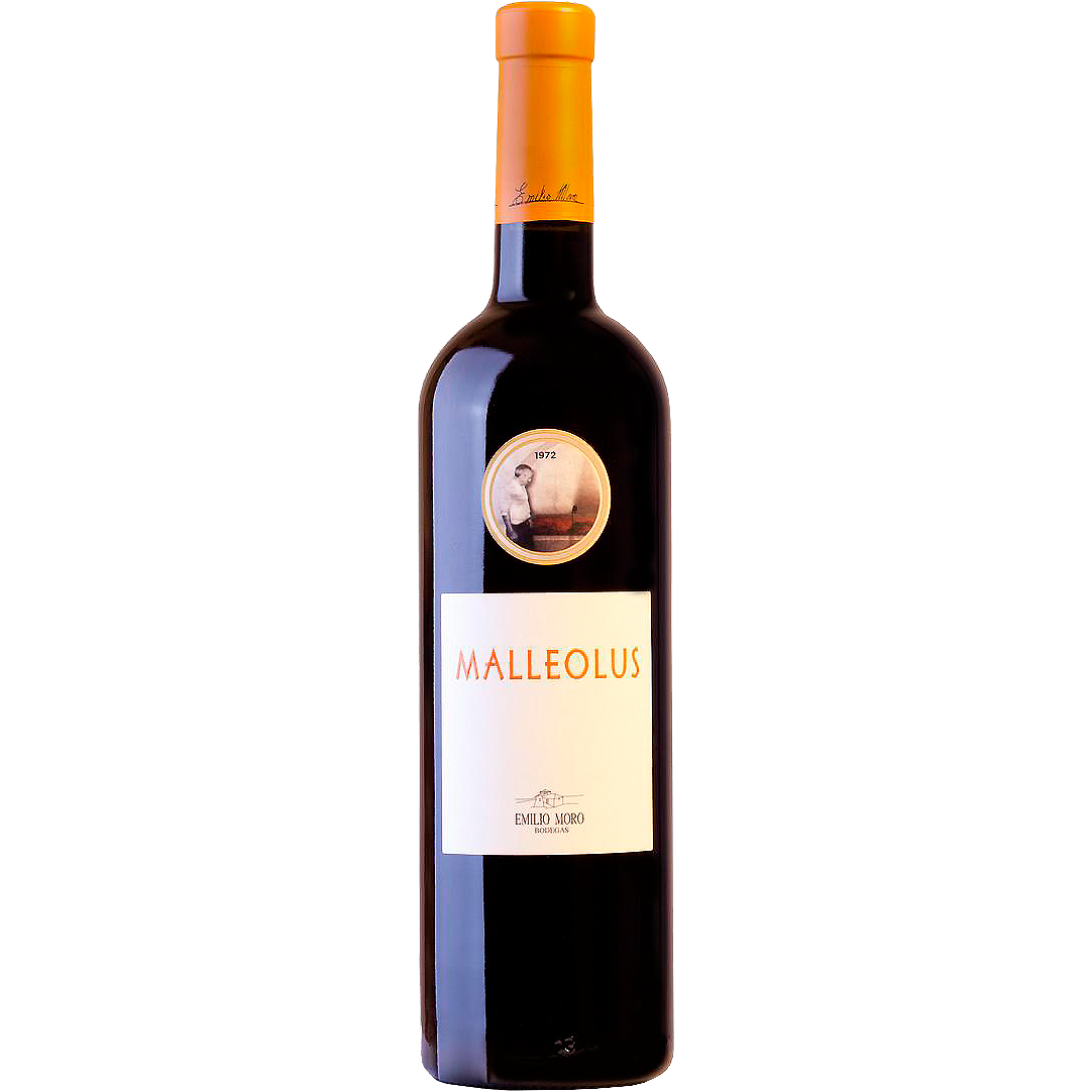 Malleolus 2021