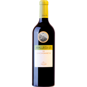 Malleolus de Sanchomartin 2021