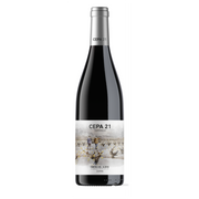 Cepa 21 2023