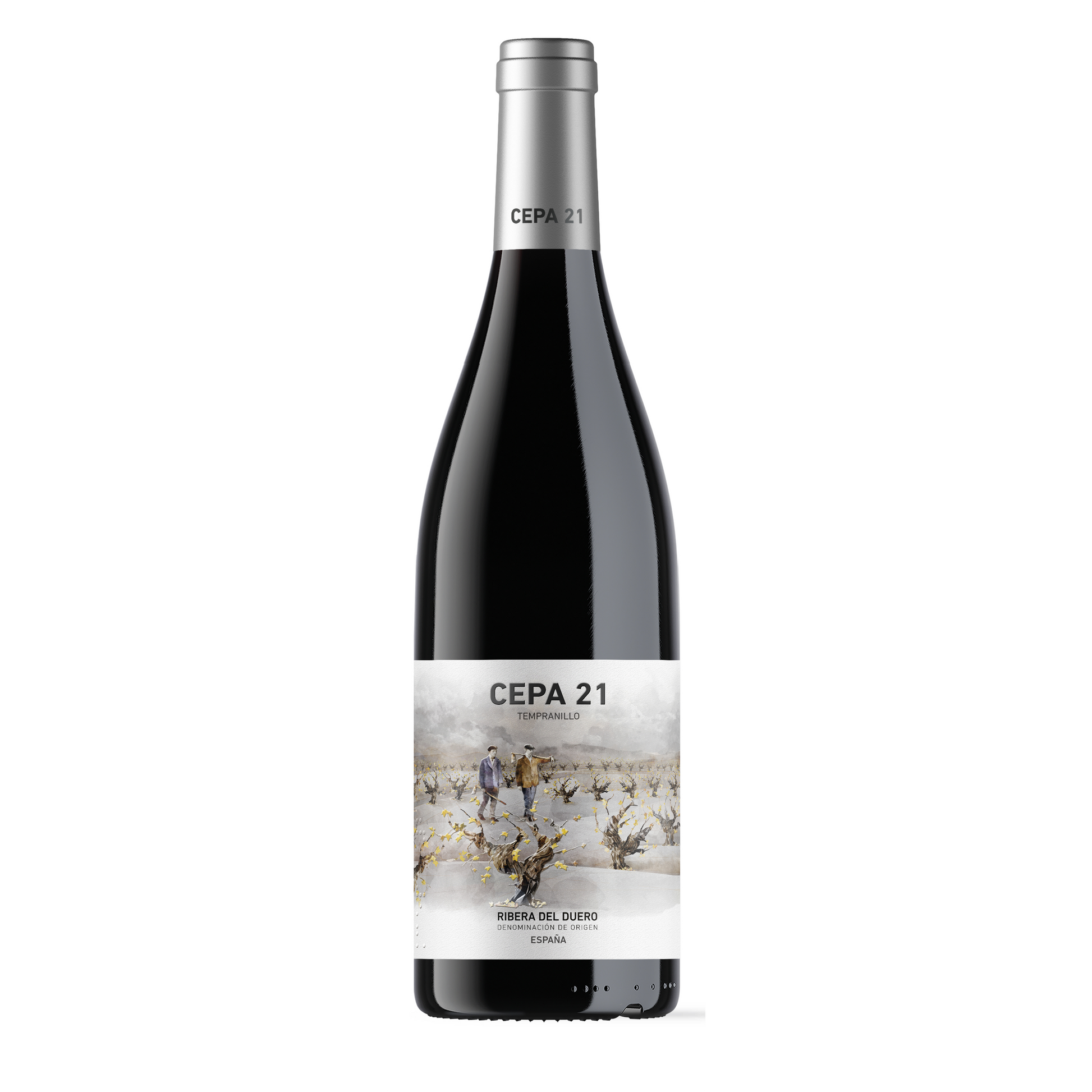 Cepa 21 2023