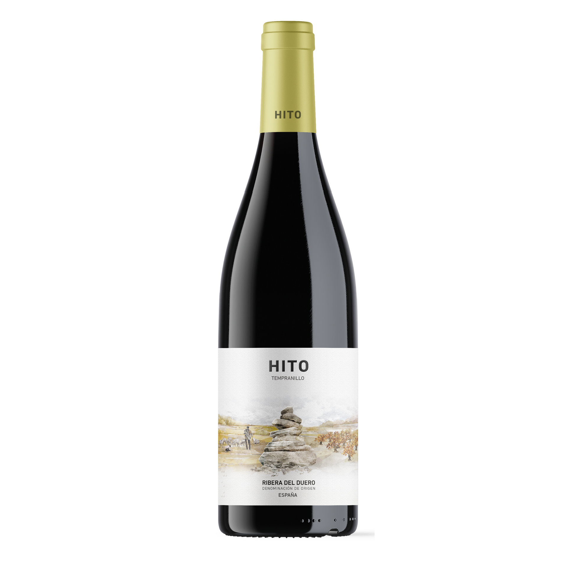 HITO 2025
