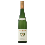 Grüner Veltliner Ried Weitgasse 2025