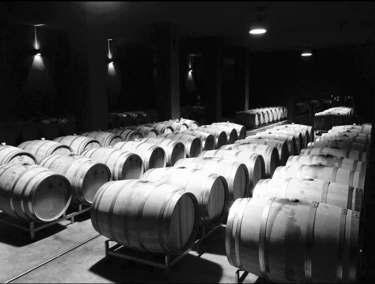 Weingut Werner Achs Bild 2