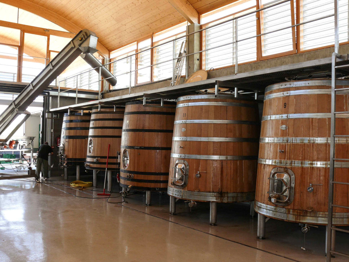 Bodegas Bernabeleva Bild 2