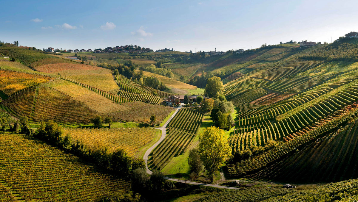 Header AZ.AGR. Ca´ del Baio