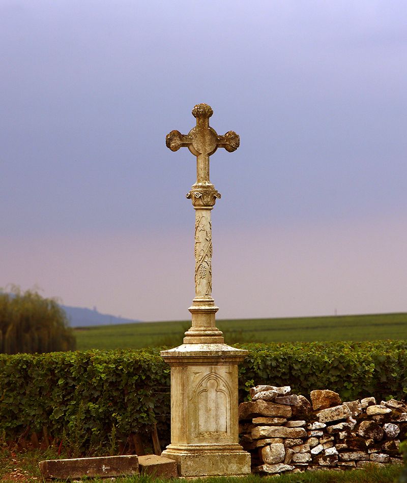 Domaine Chavy-Chouet Bild 2