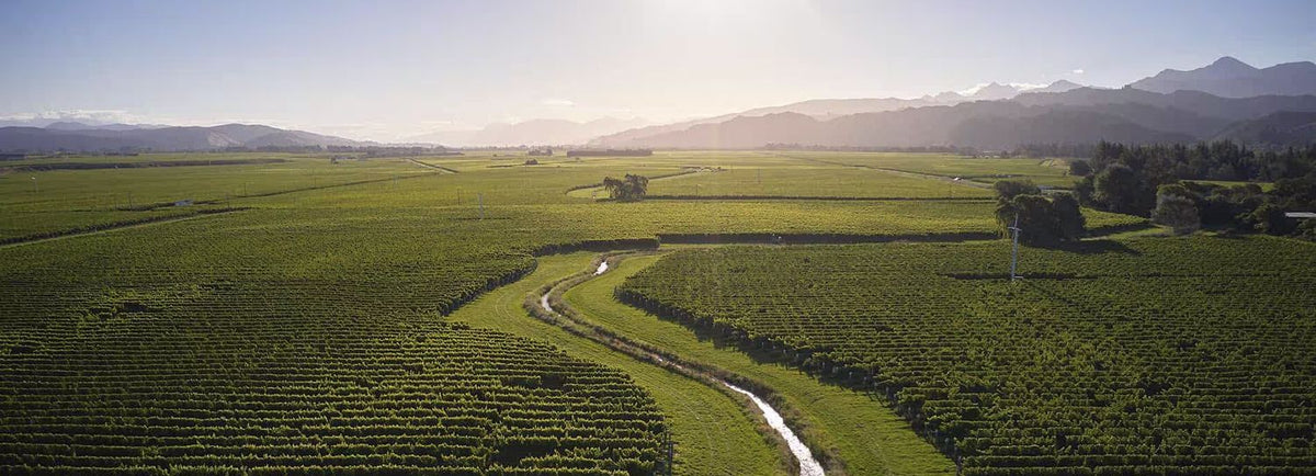Header Cloudy Bay Vineyards