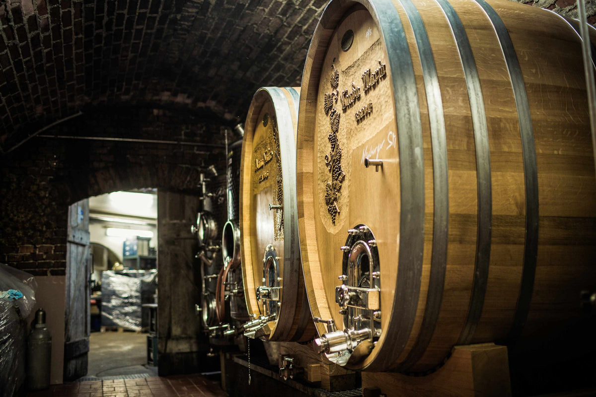 Weingut Donabaum Bild 2