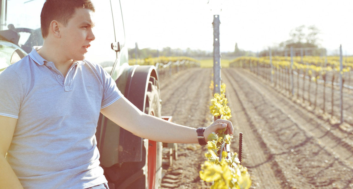 Header Weingut Alexander Egermann