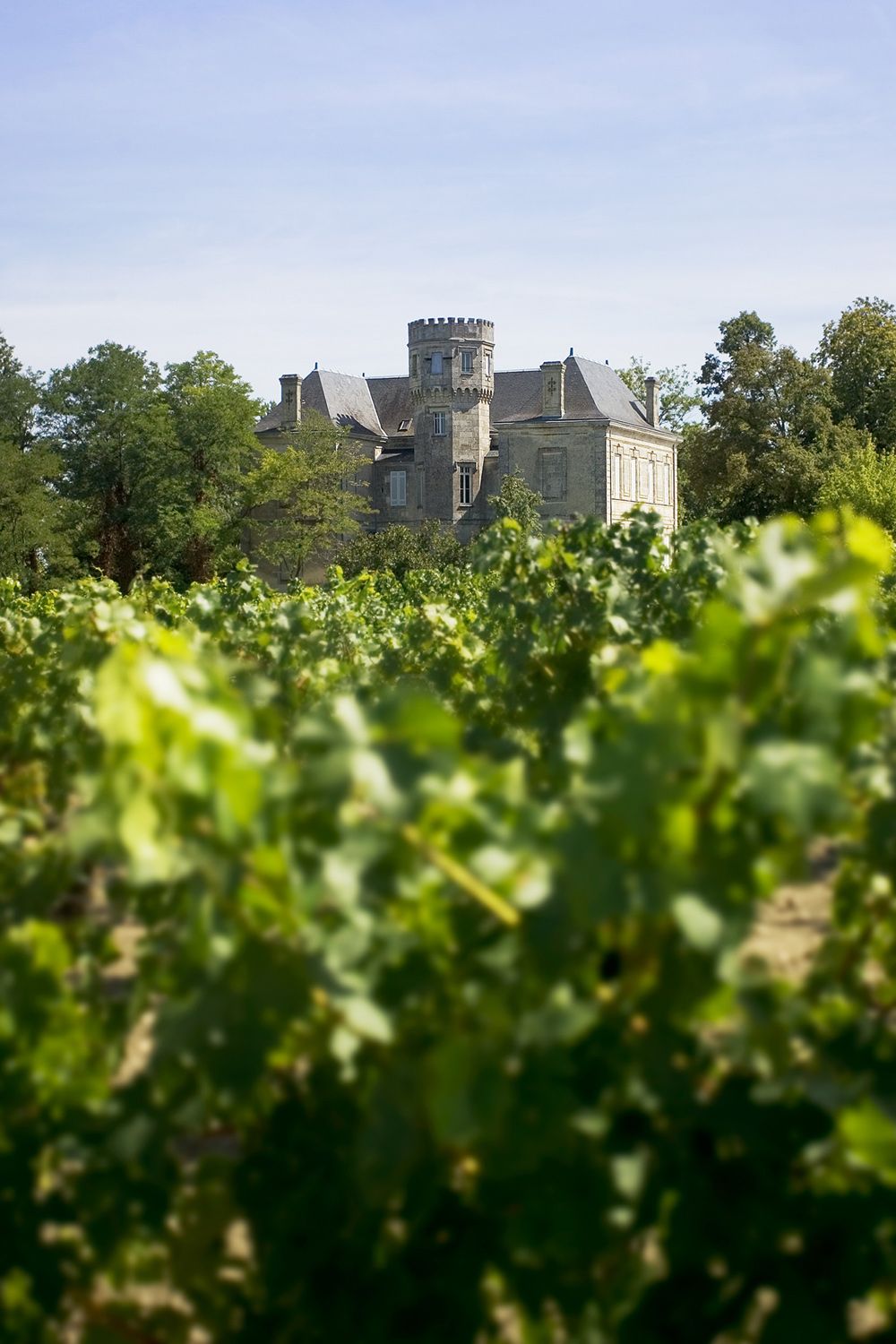 Château La Gurgue Bild 2