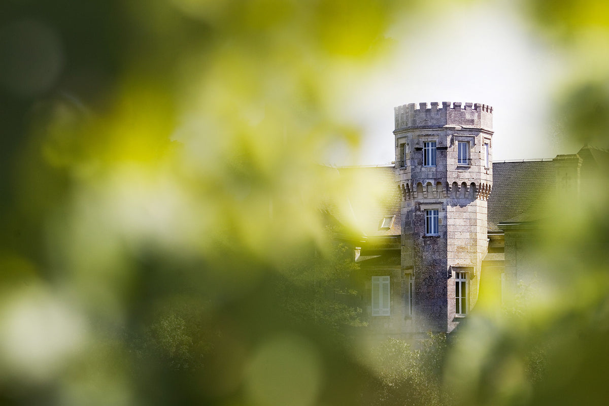 Header Château La Gurgue