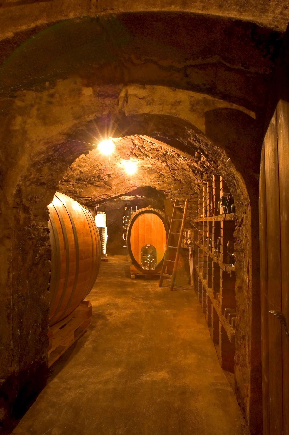 Weingut Högl Bild 2
