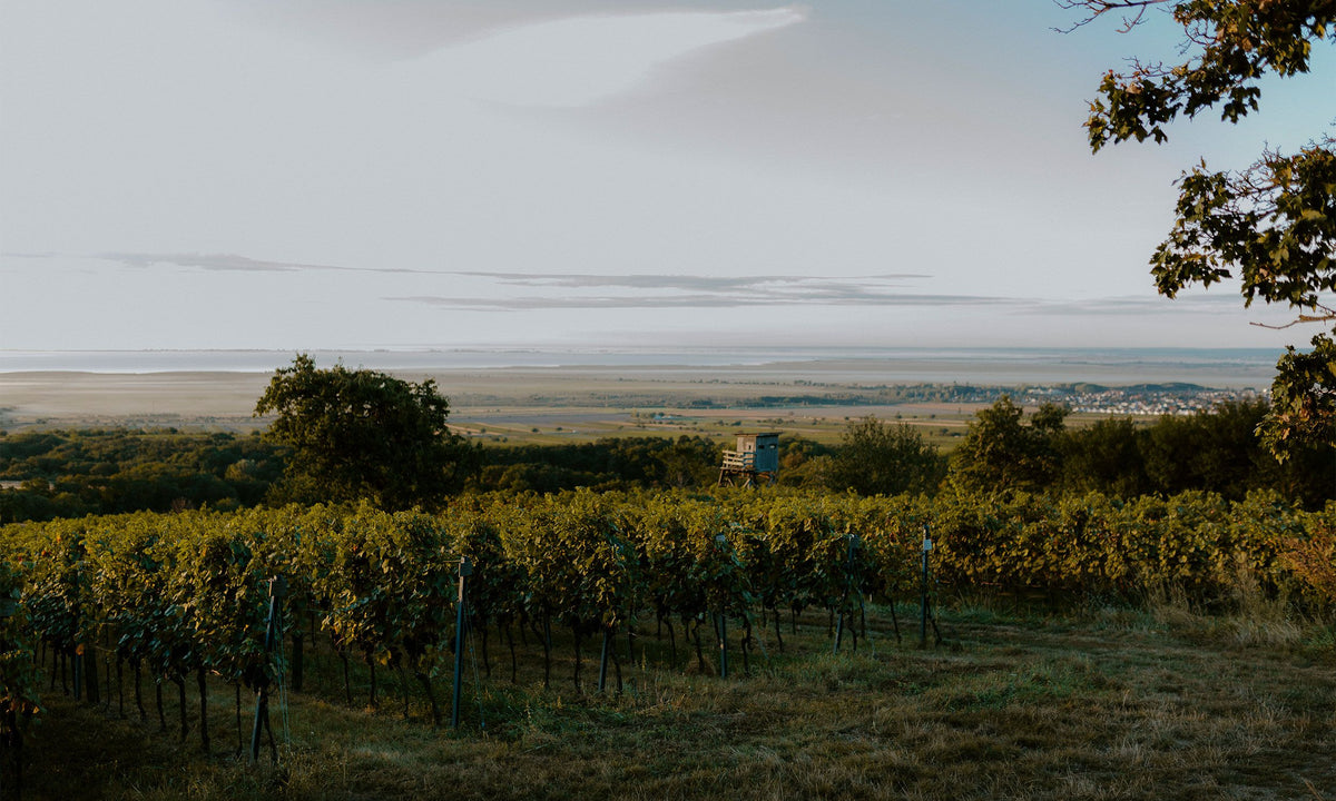 Header Weingut Gernot & Heike Heinrich