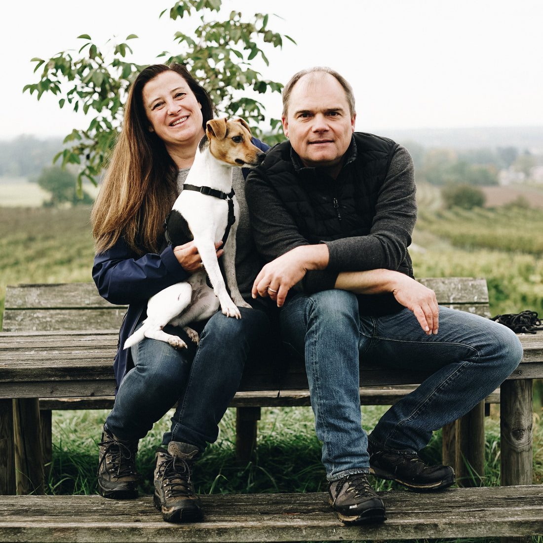 WEINGUT HIRSCH