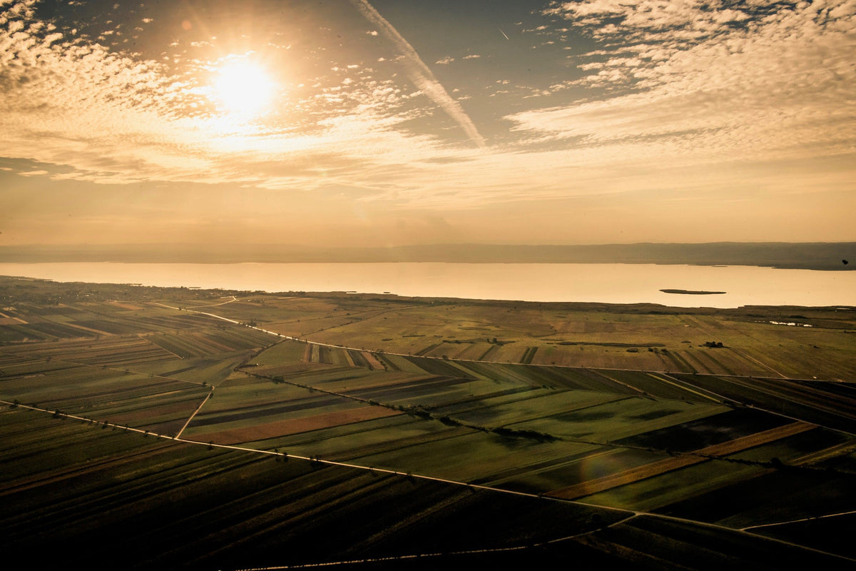 Header Weinlaubenhof Kracher