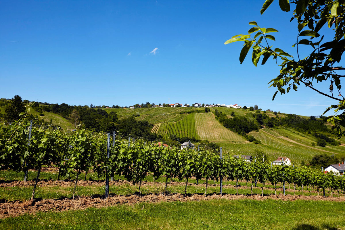 Header Weingut Krutzler