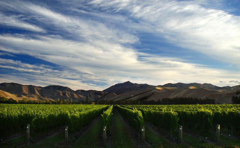 Header Mount Nelson