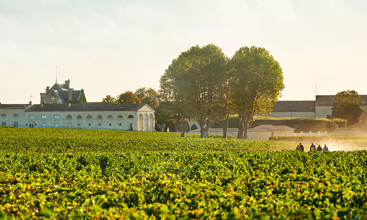 Header Château Mouton-Rothschild