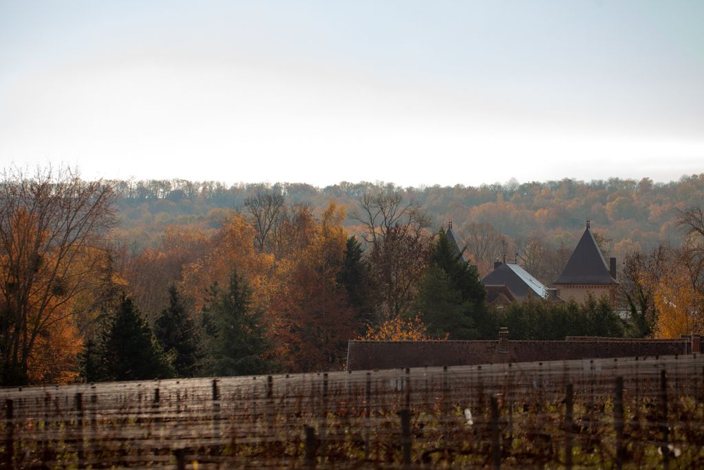 Header Domaine de Marzilly – Champagne Ullens