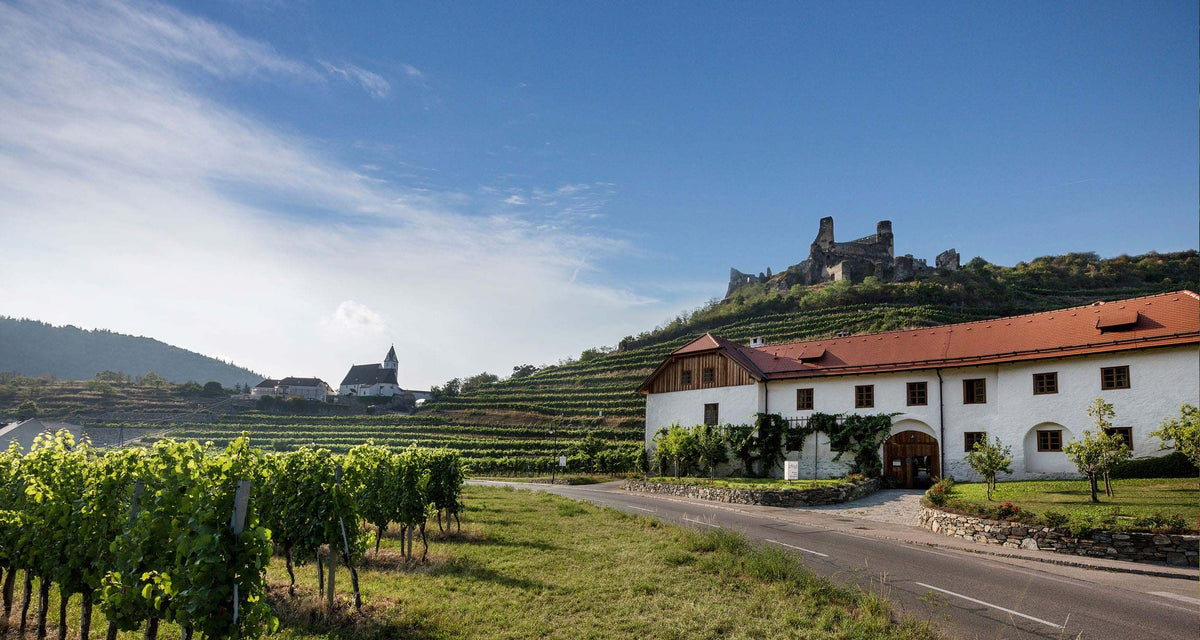 Header Weingut Nigl