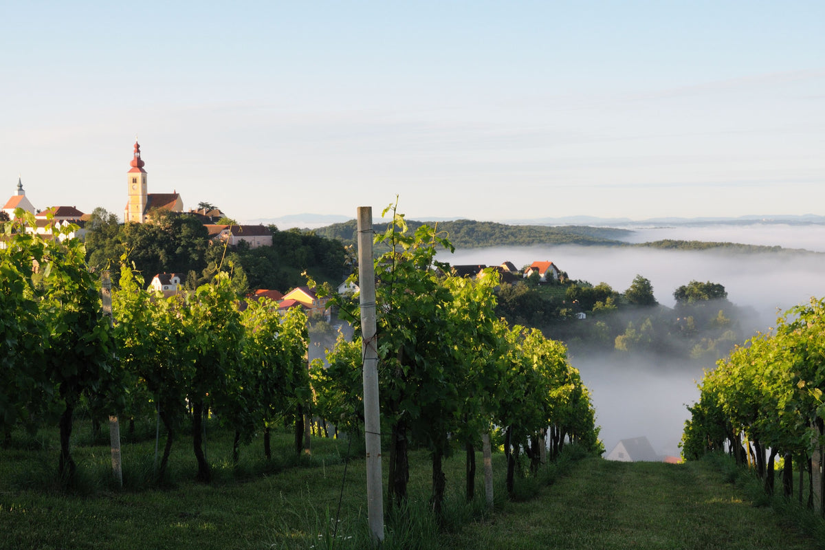 Header Weingut Neumeister