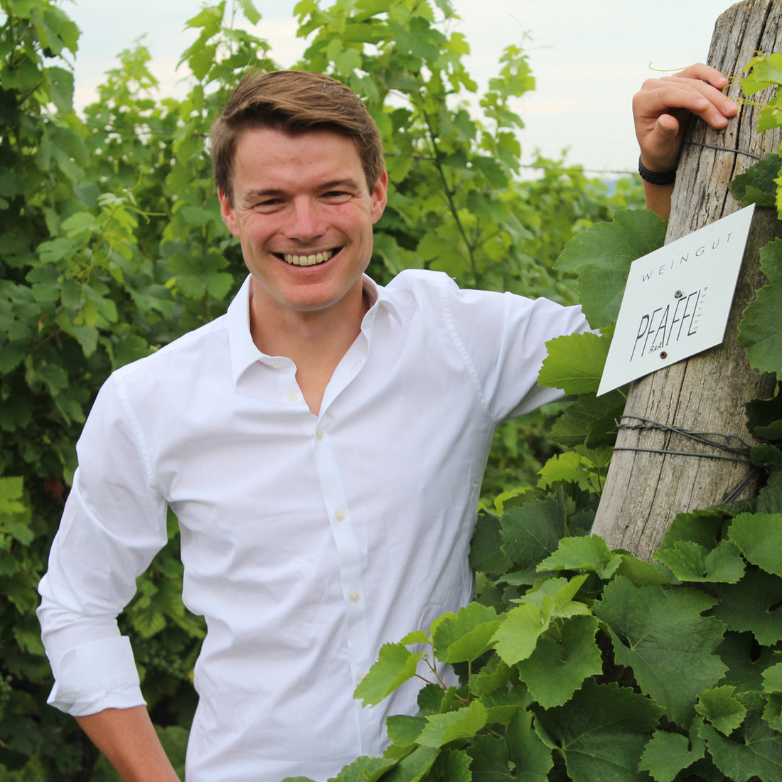 WEINGUT PFAFFL
